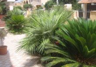 Bed And Breakfast Villa Olimpo Le Torri